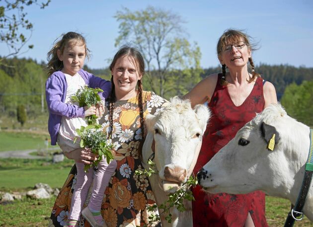  Tre generationer. Från höger: Annelie, 61 år, Lill-Stina, 35 år och Evalie, 7 år, trivs alla i hagen bland sina fjällkor.