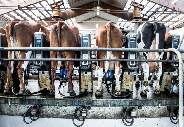  20 svenska mjölkbönder kräver höjda mjölkpriser. 