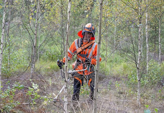  Det är ansvarstagande enskilda skogsägare som genom årtionden har skapat skogens mångfald, skriver Sven-Olof Jansson. 