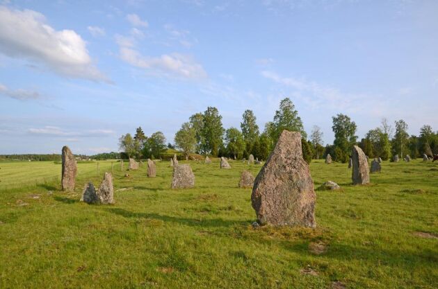  I fastighetens västra del ligger ett gravfält från järnåldern, Ryningsholms gravar.