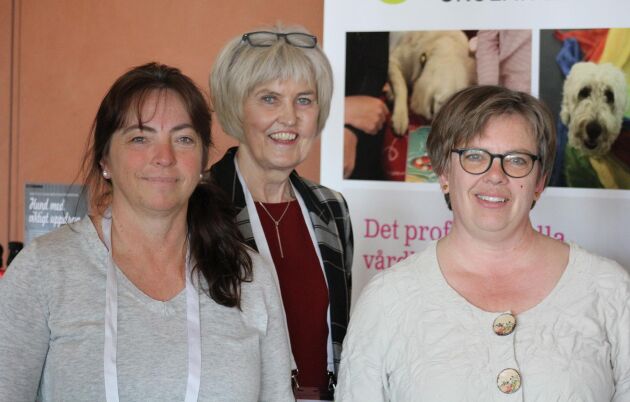  Hon arbetar med grön hälsa på familjegården. Här med arbetsgruppen från vänster till höger: Inger Sanz, Kerstin Ullberg Pettersson och Elisabeth G Wahlgren själv.