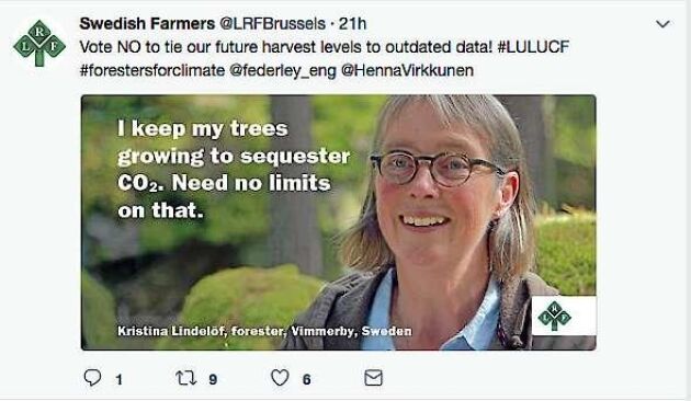  Jag låter mina träd växa för att avskilja koldioxid. Behöver inga tak på det. Kristina Lindelöf twitterkampanjar mot avverkningstaket.