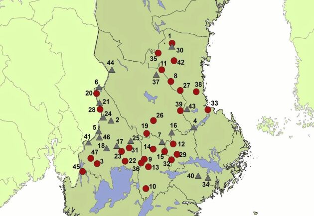  Röda prickar markerar familjegrupp av varg och grå trianglar visar revirmarkerande par utan ungar. Data kommer från länsstyrelsernas inventeringar och kartan från Viltskadecenter vid SLU.